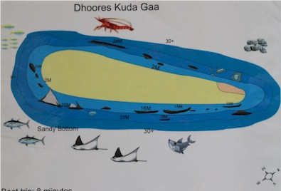 Dhoores Kudagaa Uthuru